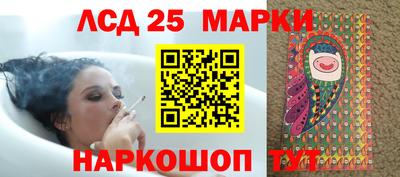 спиды Кандалакша