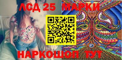 спиды Кандалакша