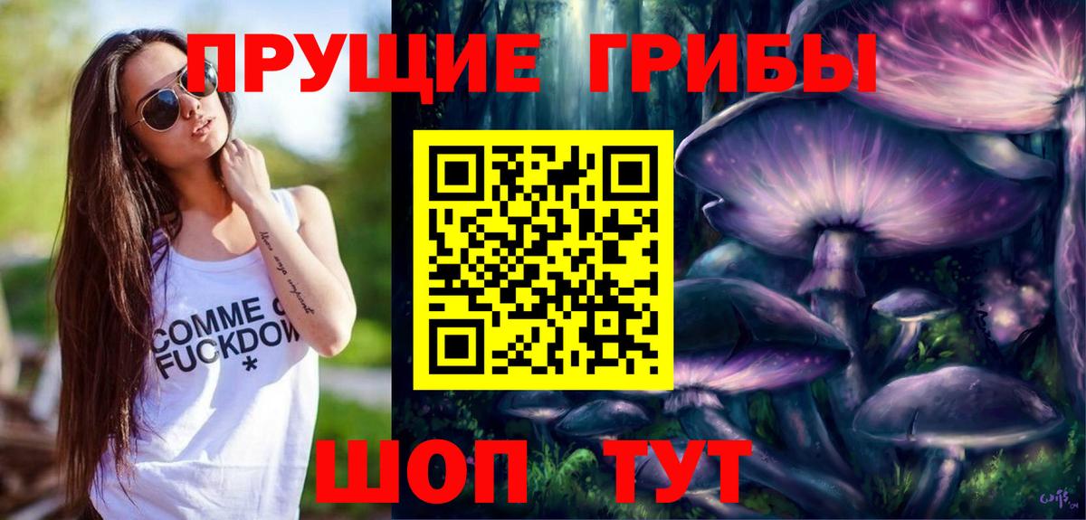 Псилоцибиновые грибы Cubensis Крымск